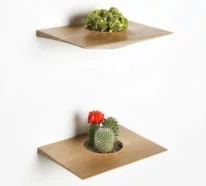Designer Ideen – Pflanzenbehälter von Domenic Fiorello