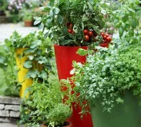 20 interessante, frische Ideen für Gemüse Anbau in Containern