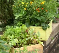 20 interessante, frische Ideen für Gemüse Anbau in Containern