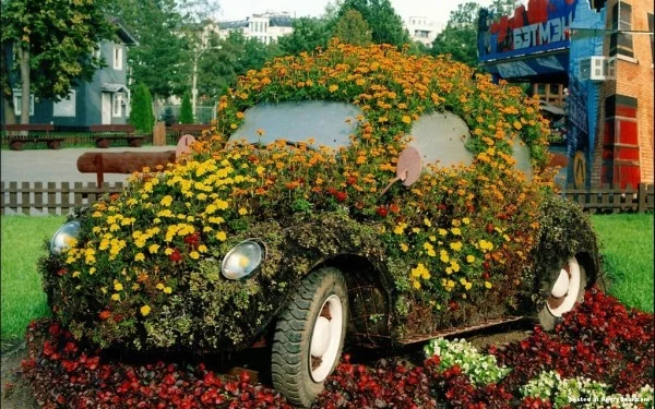 coole pflanzen und gartenkunst ideen alt auto