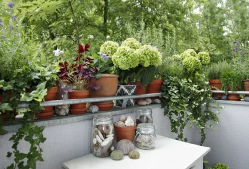 Balkonpflanzen für kalte jahreszeit herbst dekoration