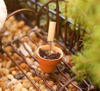 Einen Mini Garten gestalten – vier tolle Mini-Projekte für Sie