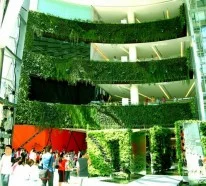 Vertikaler Garten: Ein Konzept, welches den Stil des Stattlebens verändern wird
