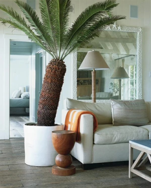 palmen-fürs-zimmer-topfpflanzen-deko-ideen-wohnzimmer