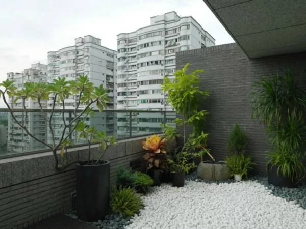balkon bepflanzen tropenpflanzen kieselsteine