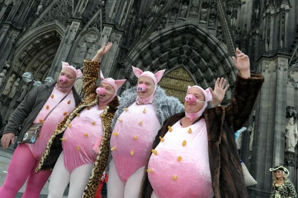 karneval 2015 in köln schweine kostüme