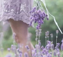 Lavendel Wirkung – Wissenswertes und praktische Tipps