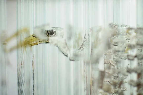 glas kunst moderne skulpturen vogel kopf
