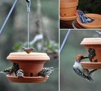 Futterhäuschen für Vögel selbst bauen