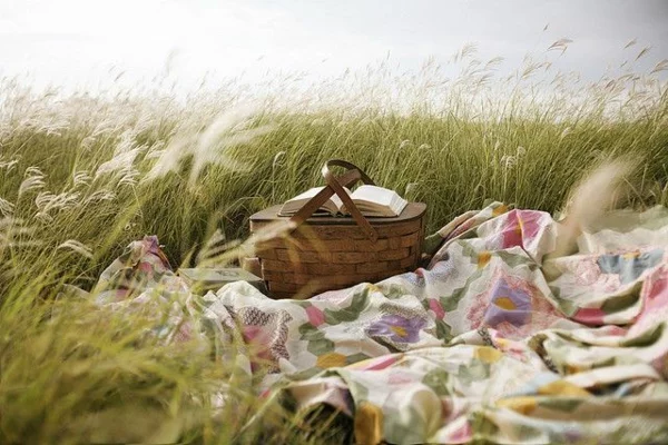 picknick decke frisches muster gras natur