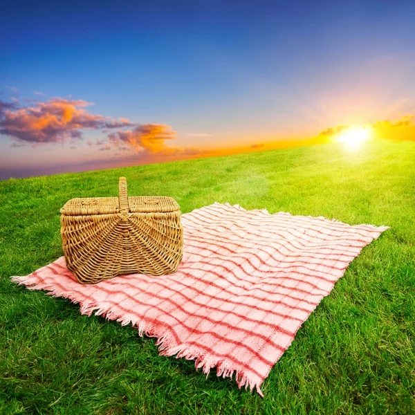 picknick natur ausflug im freien sonnenuntergang