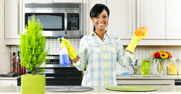 wohnung putzen sauber machen küchenhygiene
