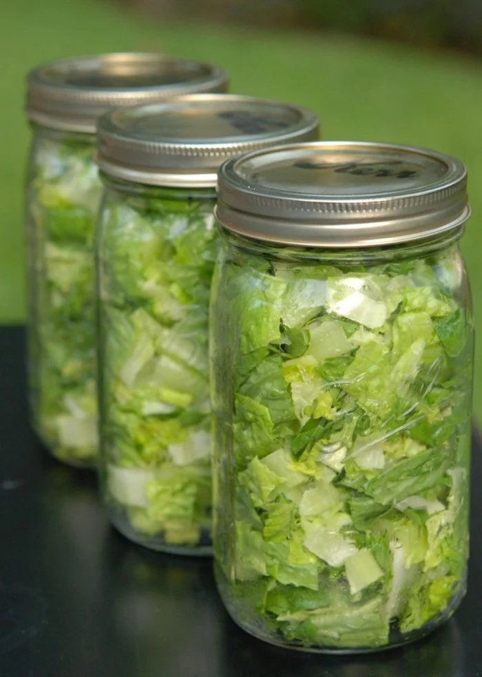 leckere salate zum abnehmen salatrezepte produkte im kühlschrank