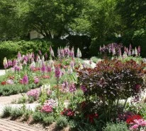 Garten und Landschaftsbau in Virginia-ein Ausflug in die Geschichte