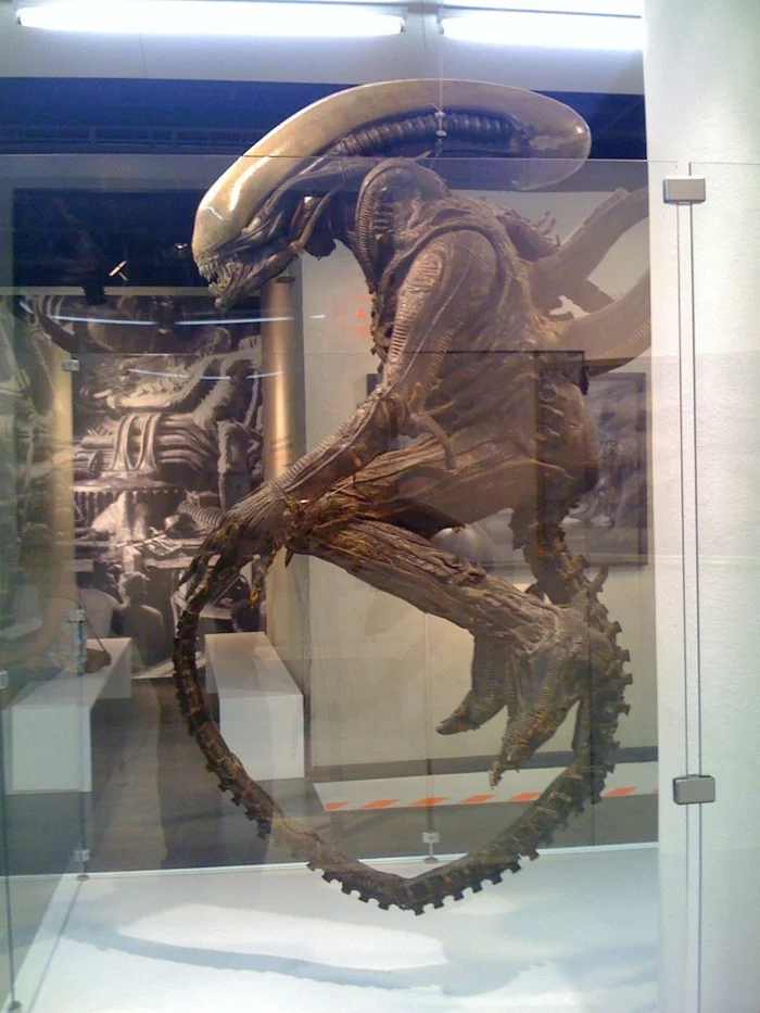 Giger Museum alien fragment alien