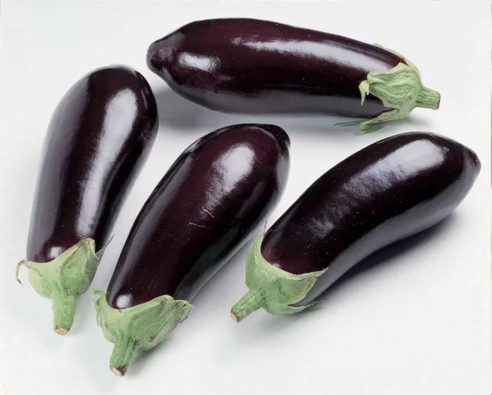 auberginen essen spannende geschichte sorten