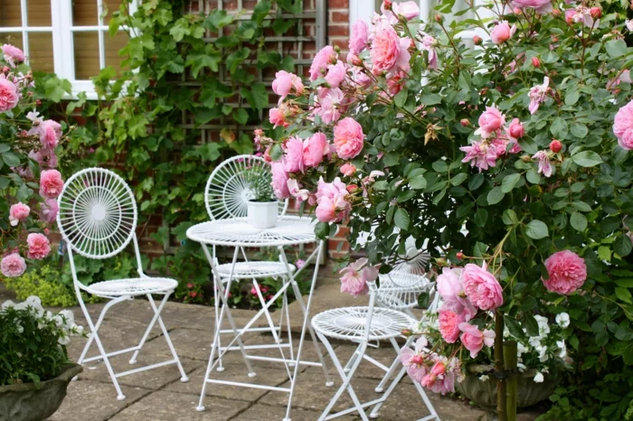 cottage garten blühende rosen sträuche metallene sitzecke romantisch