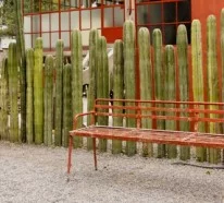 Garten Sichtschutz auf mexikanischer Art