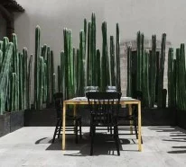 Garten Sichtschutz auf mexikanischer Art