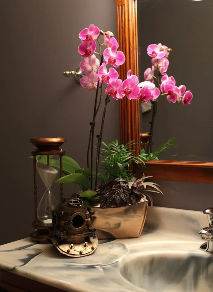 orchideen pflegen zimmerpflanzen badezimmer dekoideen