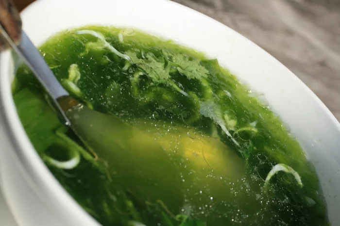 algen essen ideen suppe algen gesundes essen