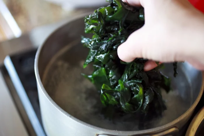 gesundes essen algen suppe kochen