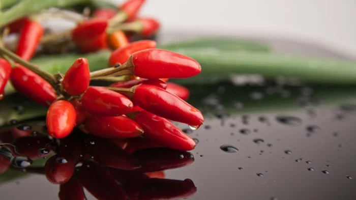 gewürze liste chili positive wirkung metabolismus