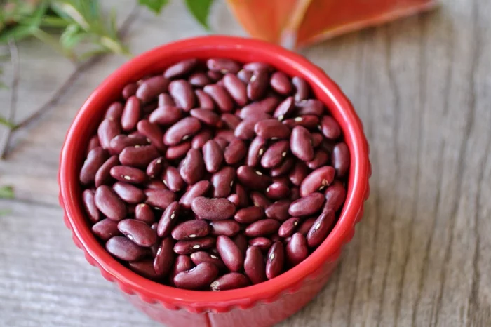 proteinquellen rote bohnen gesundes essen gesundes leben
