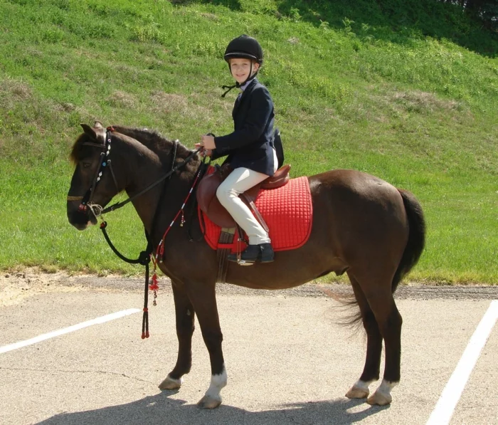 sportarten für kinder pferd reiten mädchen
