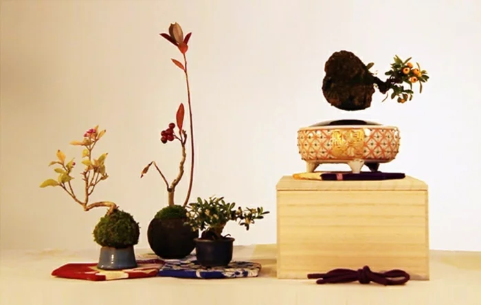 bonsai baum air fliegend basis schalen magnet pozellan hand gemacht