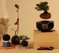 Air Bonsai Baum – magische Erscheinung oder innovative Technologie?