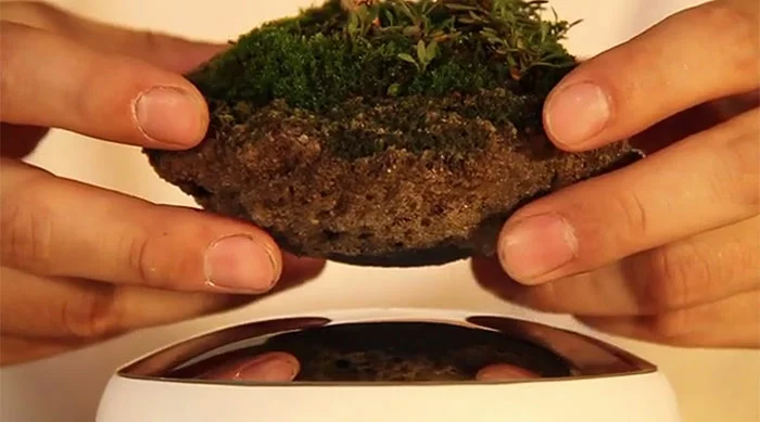 bonsai baum air magnet basis fliegend japan projekt