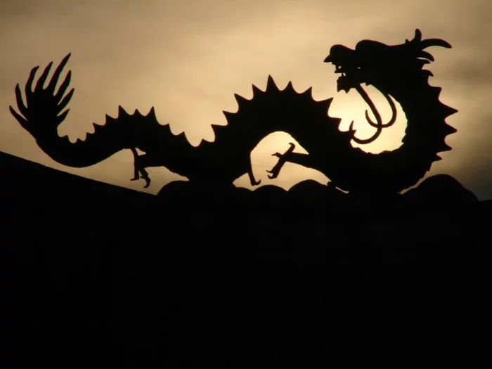 chinesische sternzeichen der feurige affe asia rot chinesisches horoskop schwrzer drache