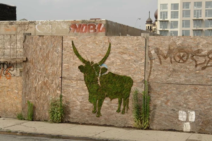 Moos Graffiti streetart künstler ornament büffel