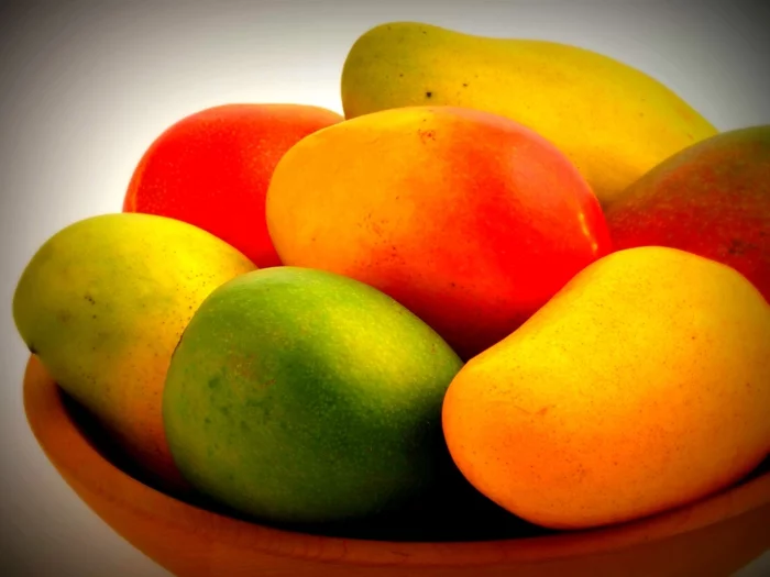 mango frucht mango vorteile nahrungszusatzmittel 