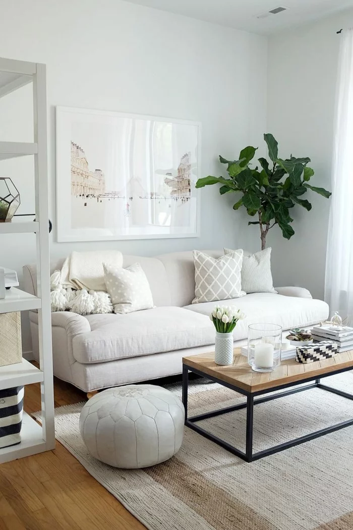 teppich wohnzimmer helles sofa pflanze weiße wände