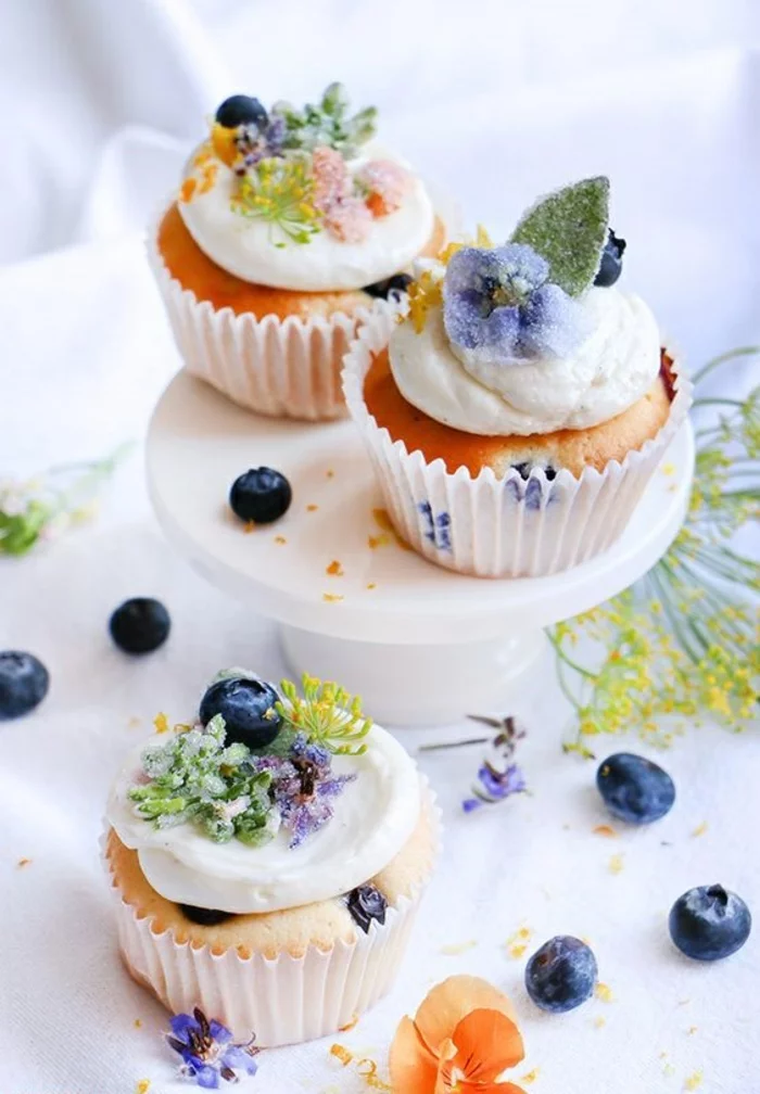 Blaubeer Cupcakes Rezept kleine Törtchen selber backen