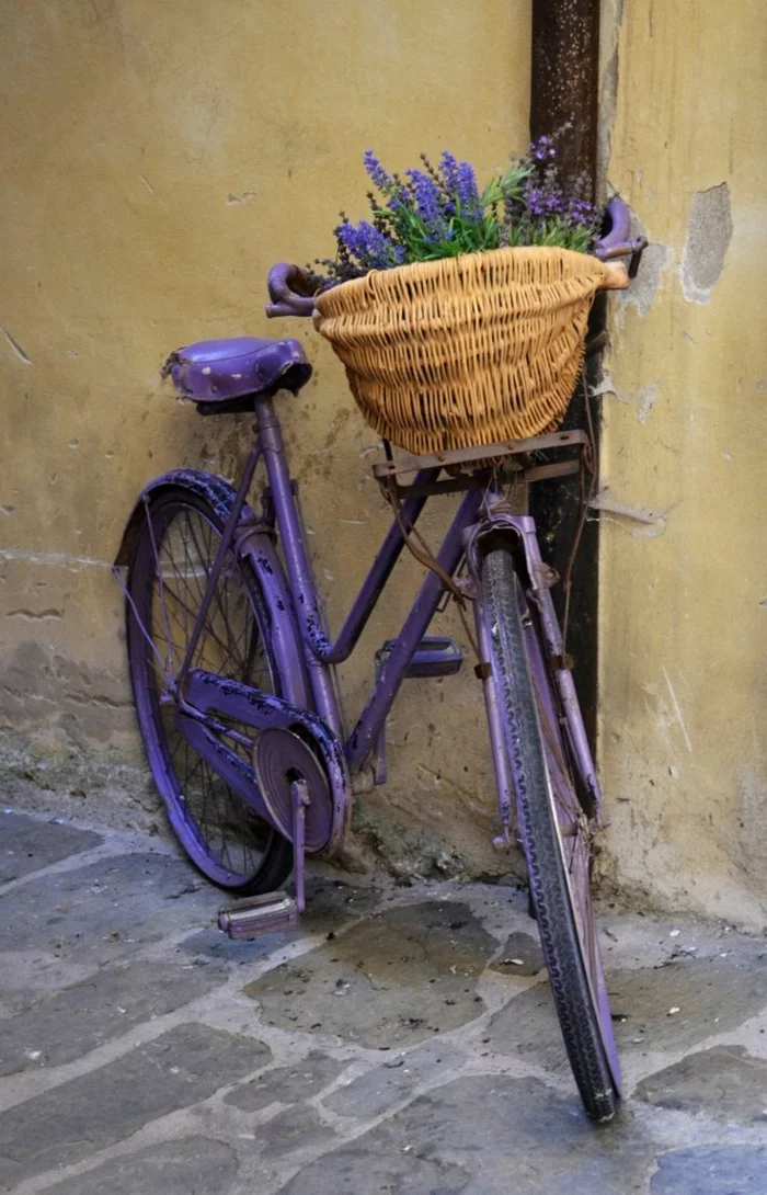 kreative garten ideen fahrrad lavendel