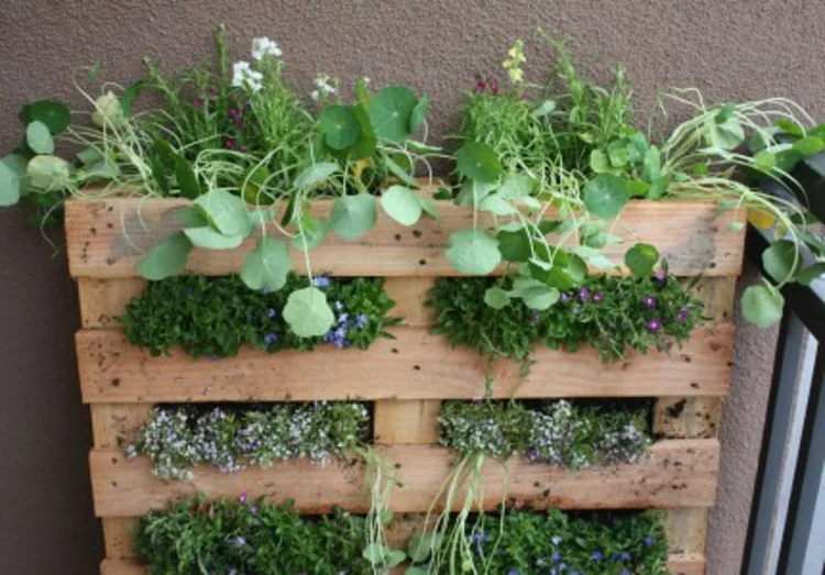 vertikalen Garten selber machen Anleitung vertikale Begrünung DIY Projekte