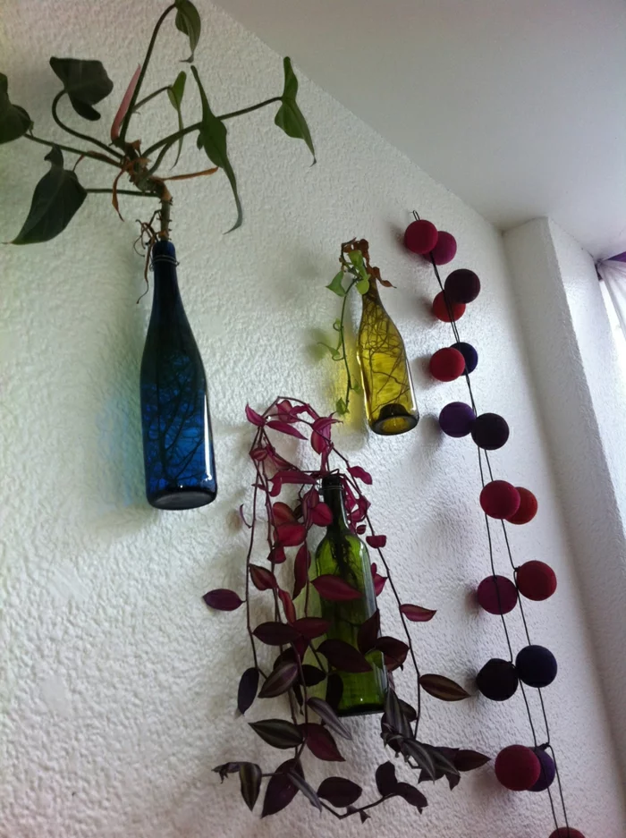 deko flaschen wanddeko pflanzen