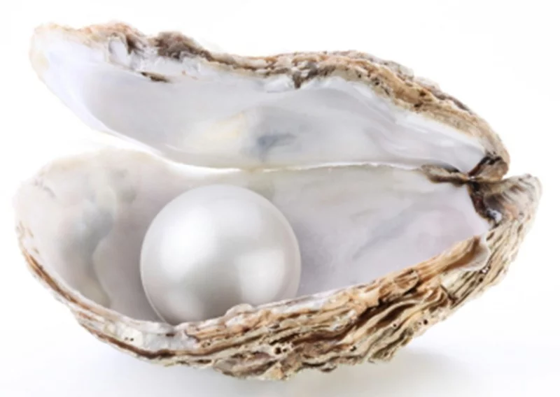 echte Perlen Edelsteine Wirkung Perlen Muschel