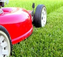 Rasenmäher, Vertikutierer und Co: Ganzjährige Rasenpflege mit den richtigen Geräten