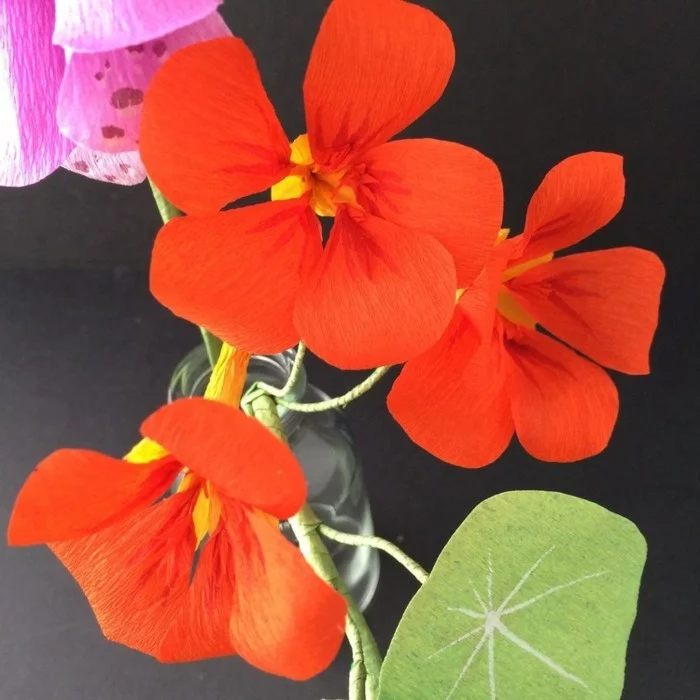 papierblumen basteln kapuzinerkresse orange blüten papierkunst