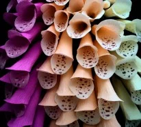 Papierblumen basteln mit viel Geduld und Liebe zum Detail