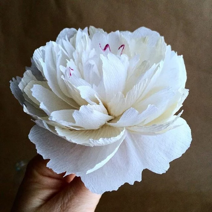 papierblumen basteln weiße pfingstrose papierkunst