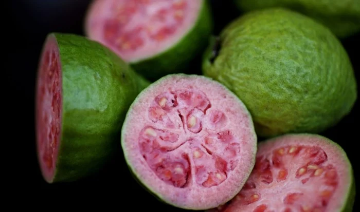 gesundes obst lebe gesund guave hauptsache gesund blätter