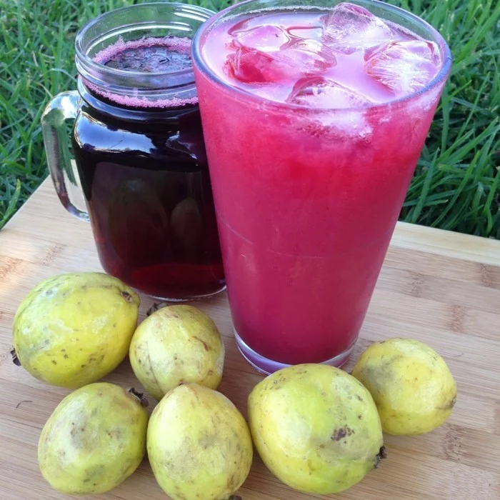 gesundes obst lebe gesund guave hauptsache gesund smoothie