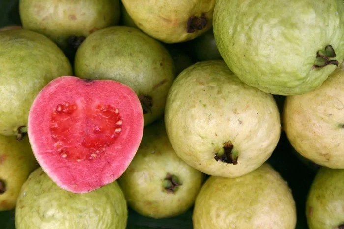 gesundes obst lebe gesund guave hauptsache gesund wallpaper