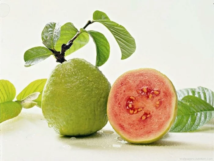 gesundes obst lebe gesund guave hauptsache gesund wallpaper4