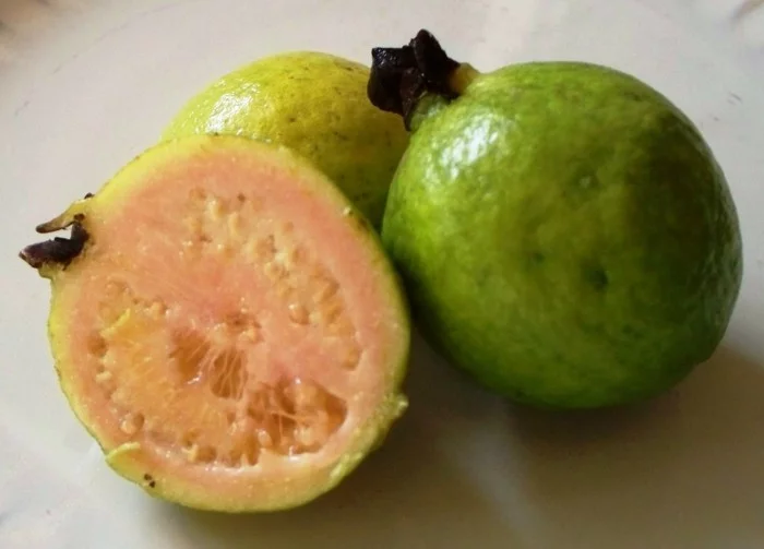 gesundes obst lebe gesund- guave hauptsache gesund wallpaper5